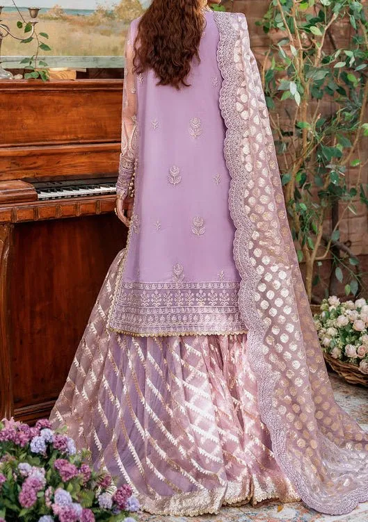 Akbar Aslam Raniya Pakistani Luxury Net Dress