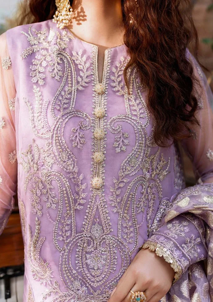 Akbar Aslam Raniya Pakistani Luxury Net Dress