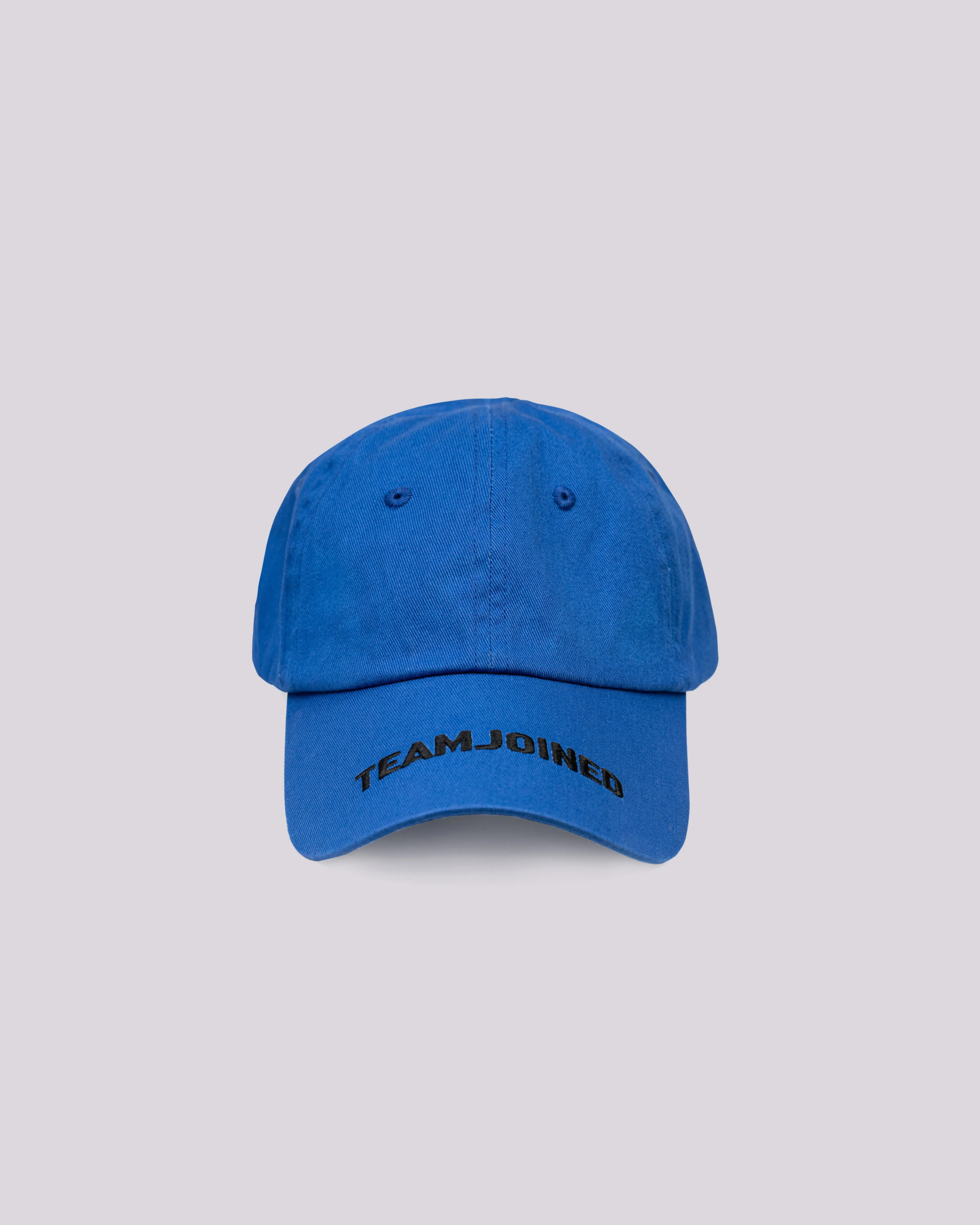 Embroidered Og Dad Hat