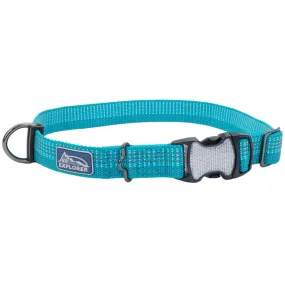 K9 Explorer Brights Reflective Adjustable Dog Collar, Teal Small