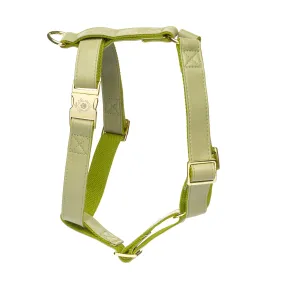 Olive Harness