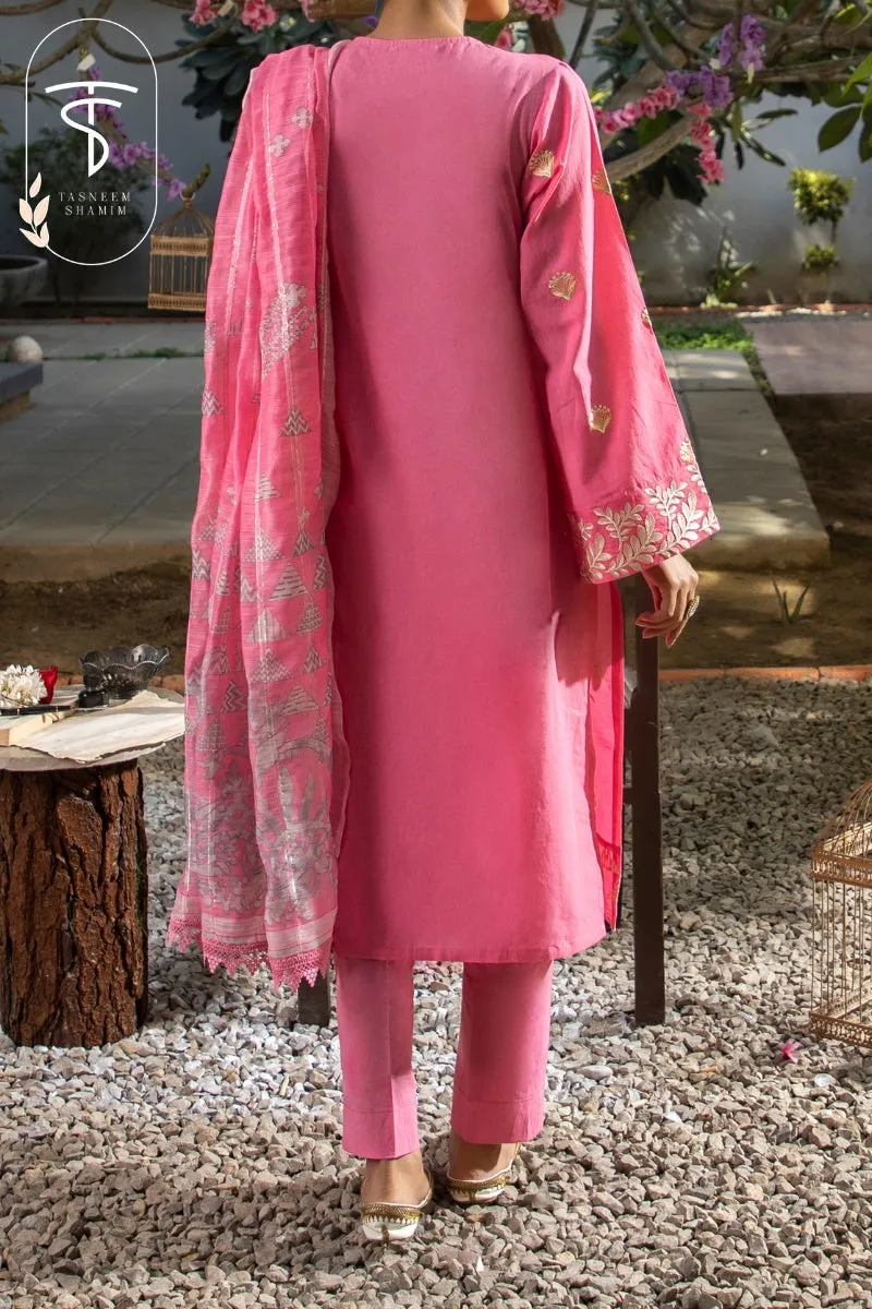 Punch Pink | 3-Piece Suit | Lawn