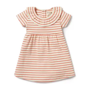 Wilson & Frenchy | Petit Rouge Organic Ruffle Dress